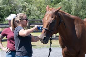 LR-WRF 08022025-Retreat-3138